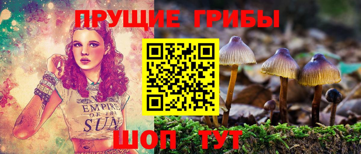 Псилоцибиновые грибы Psilocybe  Псилоцибиновые грибы MAGIC MUSHROOMS  купить  цена  Гуково  Вход с VPN 
